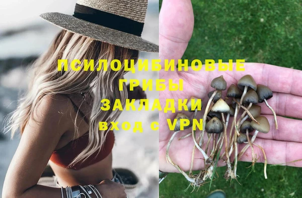 гидропоника Новокубанск