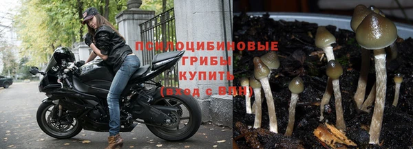 бутират Новозыбков