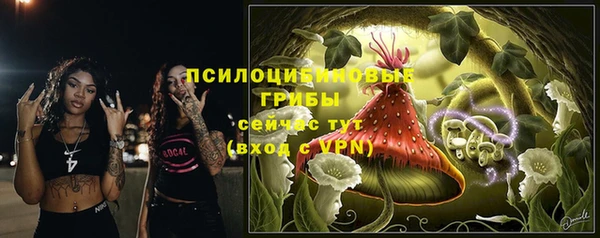 гидропоника Новокубанск