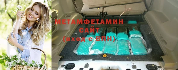 ГАЛЛЮЦИНОГЕННЫЕ ГРИБЫ Бородино