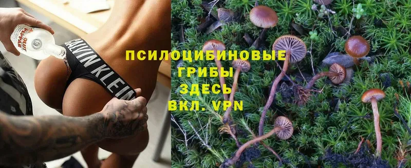 Галлюциногенные грибы Cubensis  Тюмень 